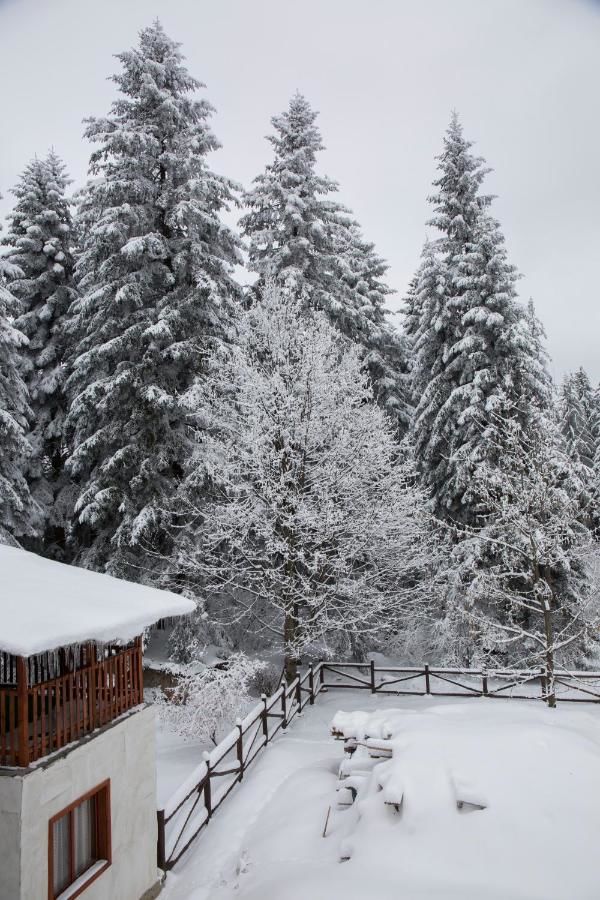 Отель Victoria Hotel Borovets - Half Board Боровец-22