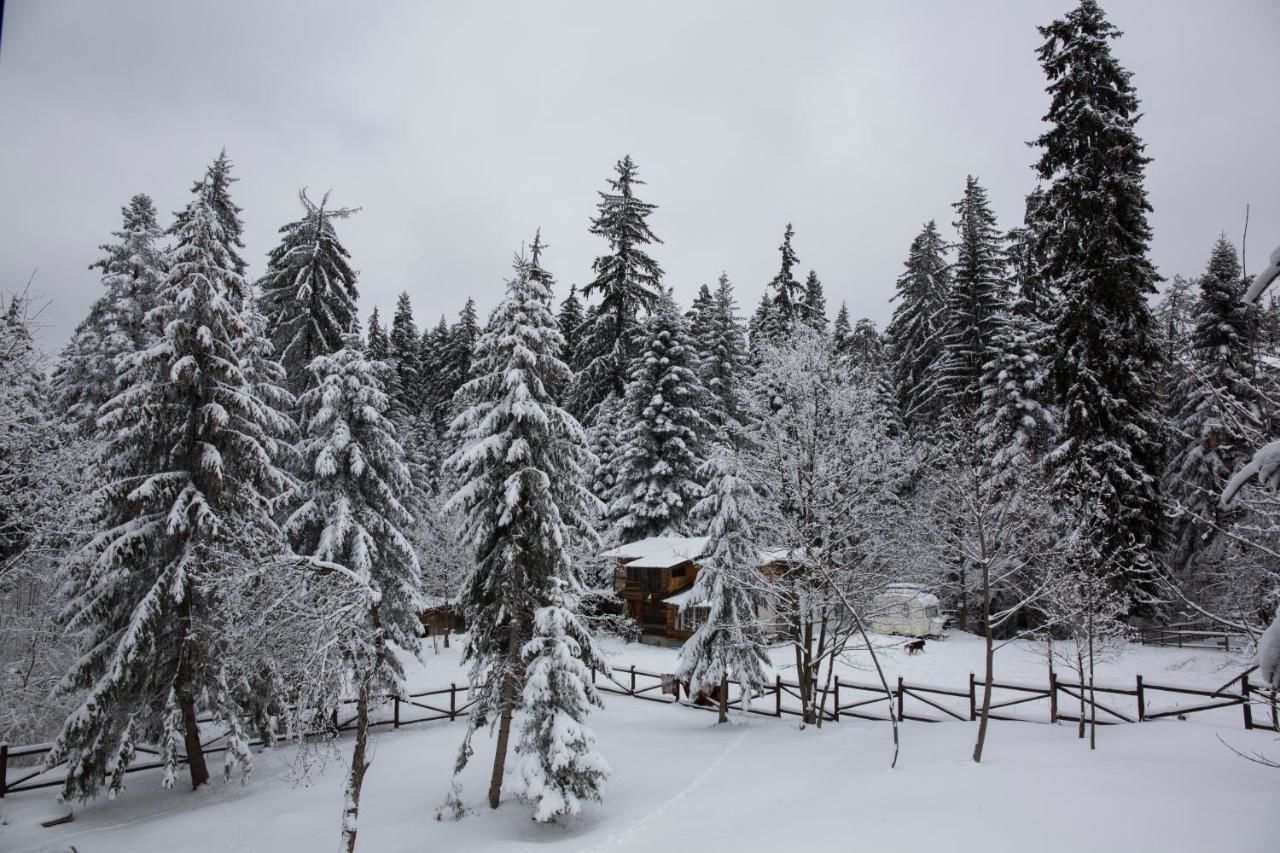 Отель Victoria Hotel Borovets - Half Board Боровец-6