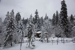Отель Victoria Hotel Borovets - Half Board Боровец-2